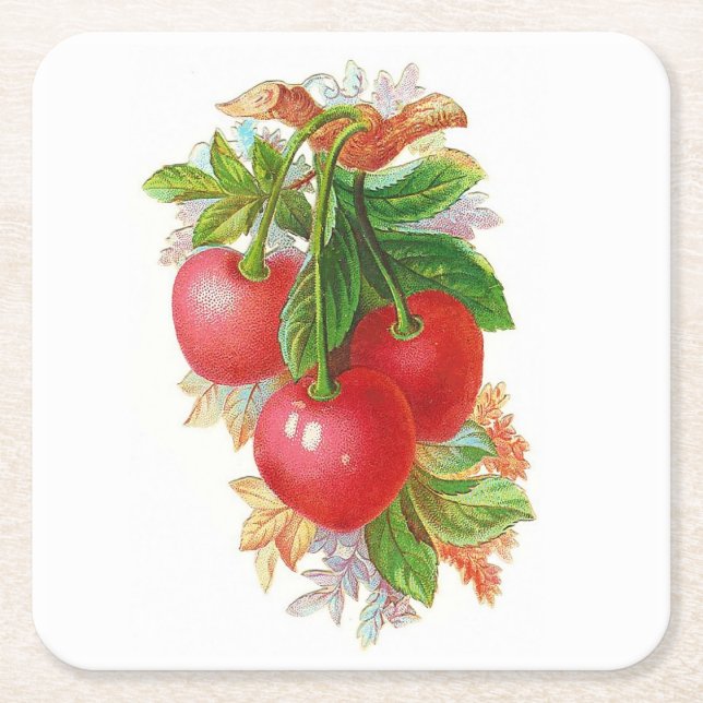 Vintage Cherries illustration Square Paper Coaster (Front)