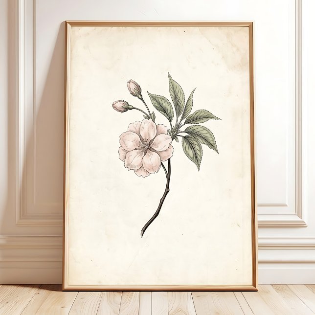 Vintage Cherry Blossom Framed Art Poster (Creator Uploaded)