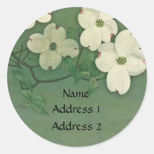 Vintage Cherry Blossom Green Stickers