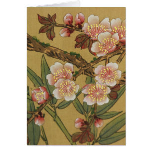 Vintage Cherry Blossoms Asian Japanese Flowers