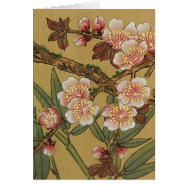 Vintage Cherry Blossoms Asian Japanese Flowers (Front)