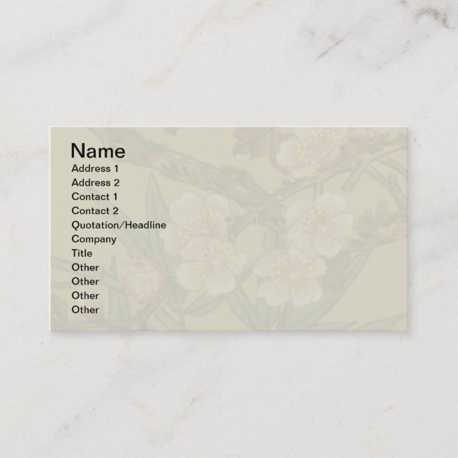 Vintage Cherry Blossoms Asian Japanese Flowers Business Card (Front)