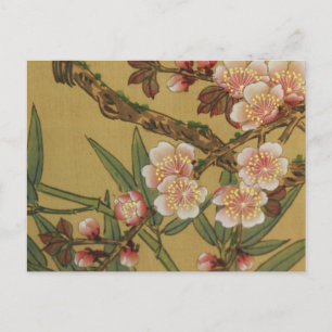 Vintage Cherry Blossoms Asian Japanese Flowers Postcard