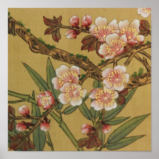 Vintage Cherry Blossoms Asian Japanese Flowers Poster (Front)