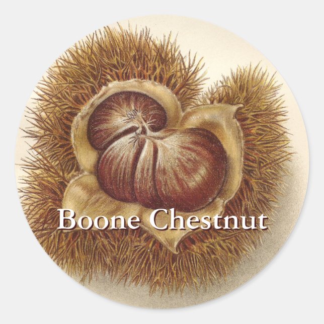Vintage Chestnut Stickers (Front)
