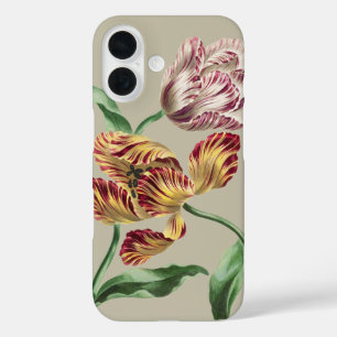 Vintage Chic 18th Century Botanical Tulip Art iPhone 16 Case