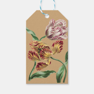 Vintage Chic 18th Century Botanical Tulip Art Gift Tags