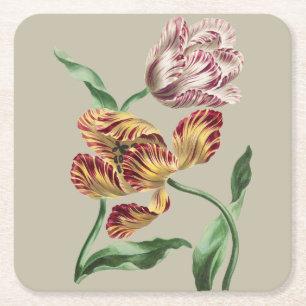 Vintage Chic 18th Century Botanical Tulip Art Square Paper Coaster