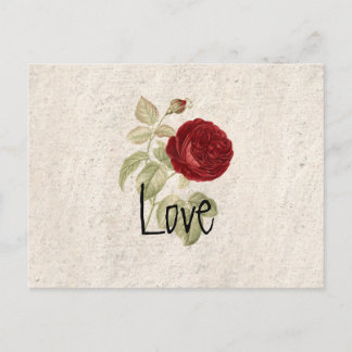 Vintage chic Romantic Girly Red Rose Postcard