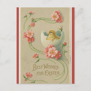 Vintage Chick in Egg Pink Flower Swirl Easter Post Postcard