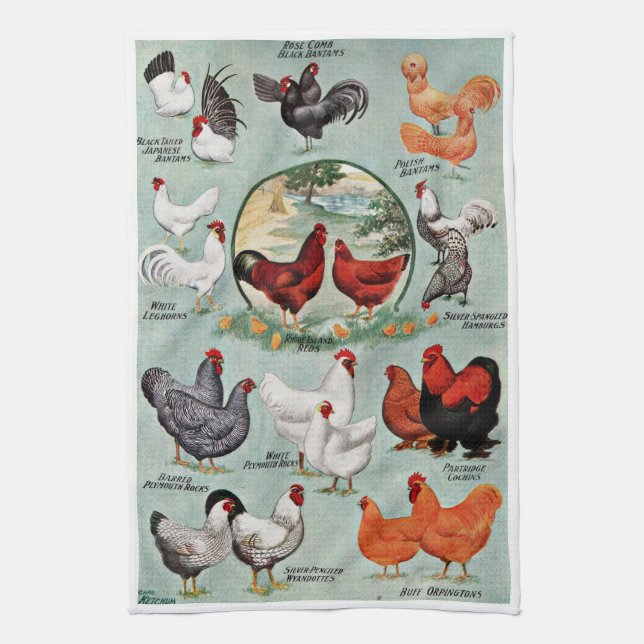 Vintage Chicken Breeds  Tea Towel (Vertical)