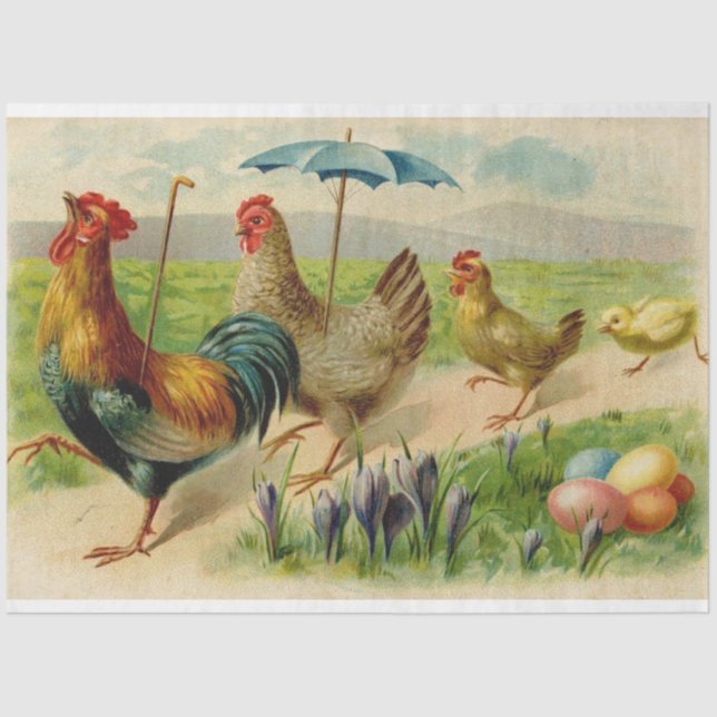 Vintage Chicken Family Easter Holiday Tissue Paper (Front)