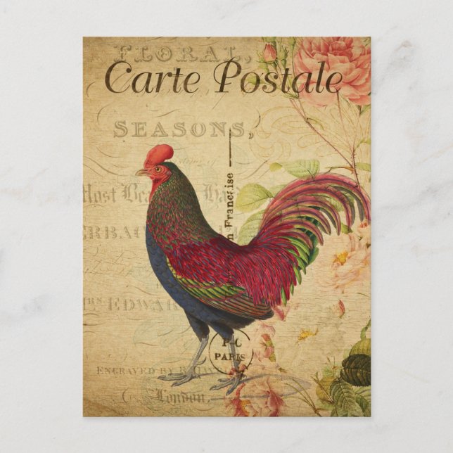 Vintage Chicken Hen Rooster illustration French Postcard (Front)