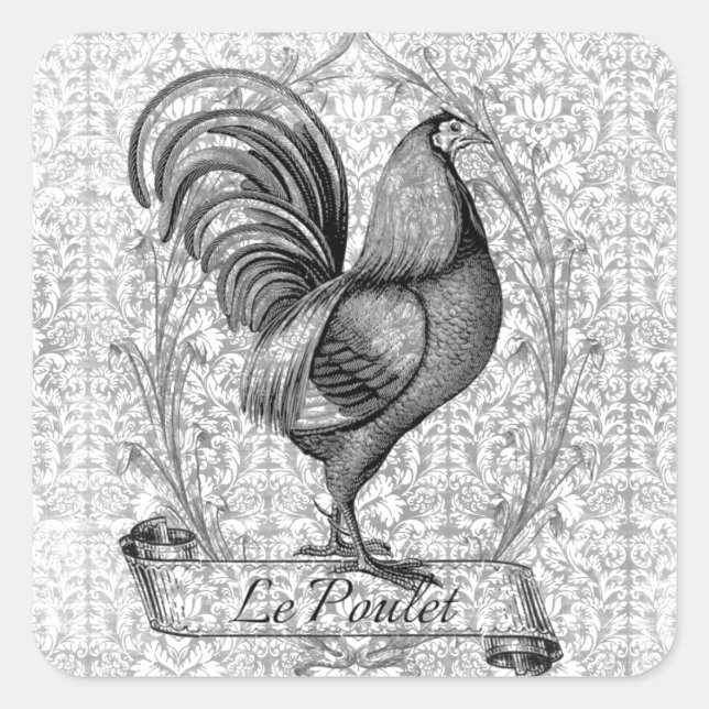 Vintage Chicken Illustration Square Sticker (Front)
