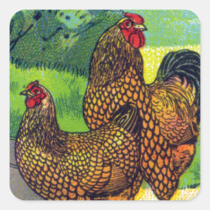 Vintage Chicken Print Square Sticker