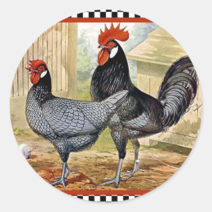 Vintage Chicken Rooster Classic Round Sticker