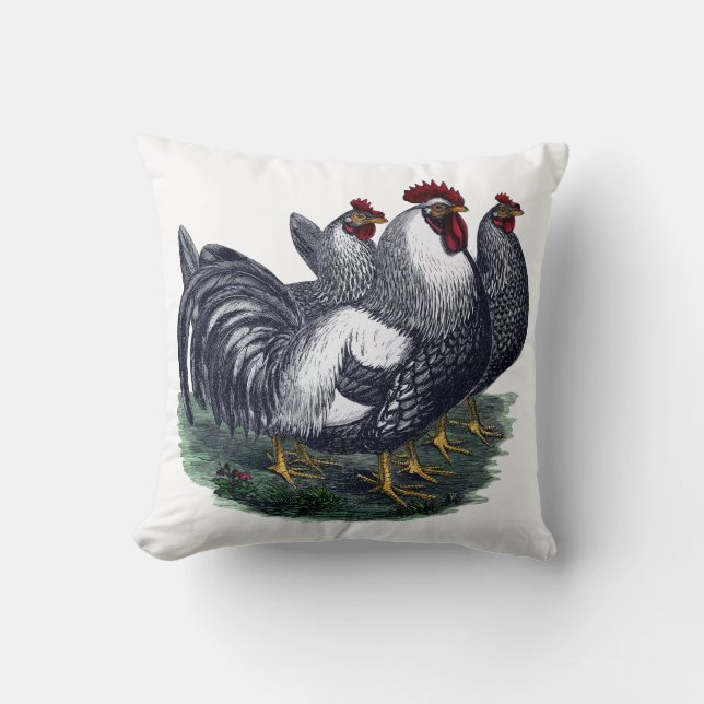 Vintage Chicken Trio Cushion (Front)