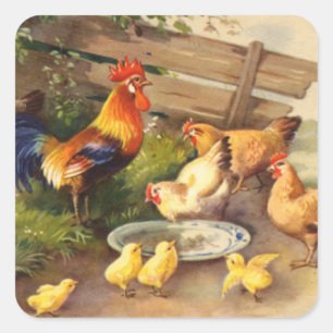 Vintage chickens and rooster sticker