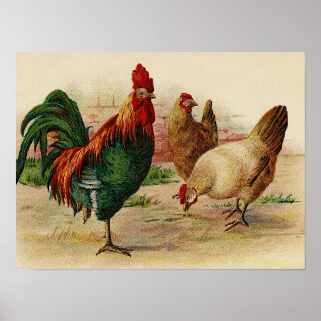 Vintage Chickens Country wall poster (Front)