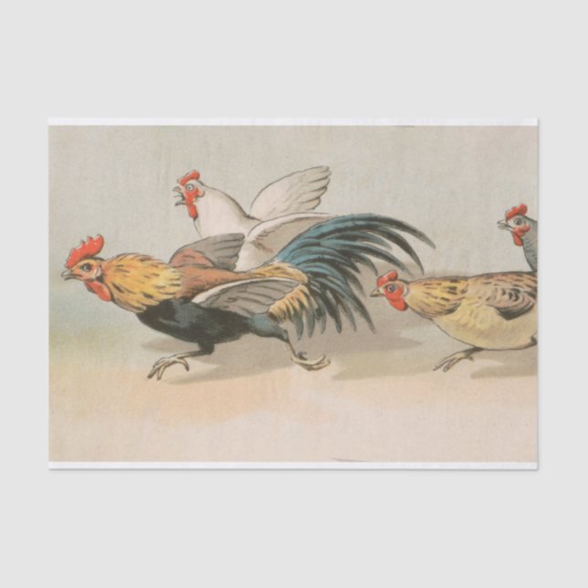 Vintage Chickens Running Tissue Paper (Front)