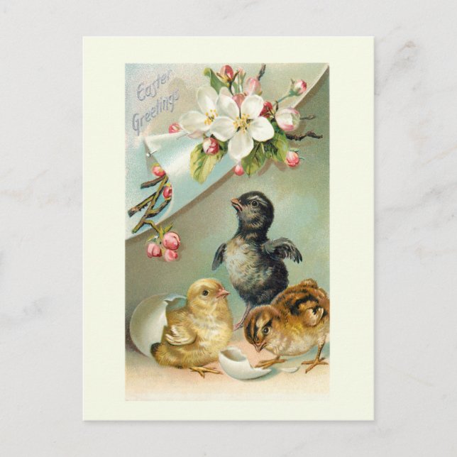 Vintage Chicks, Easter Eggs and Wild Roses Postcard (Front)