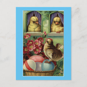 Vintage Chicks Easter Postcard