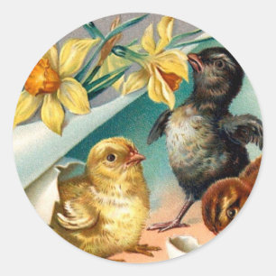 Vintage Chicks with Yellow Flowers Easter Greeting Classic Round Sticker