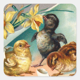 Vintage Chicks with Yellow Flowers Easter Greeting Square Sticker
