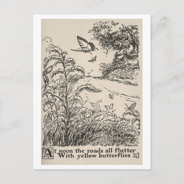 Vintage Children's Book Illustration Butterflies Postcard (Front)
