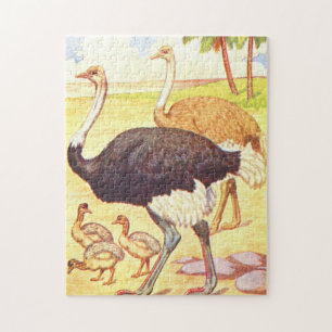 Vintage Childrens Book Illustration Ostrich Jigsaw Puzzle