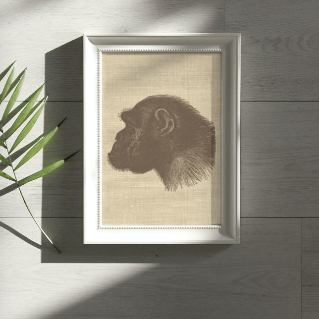 Vintage Chimpanzee Illustration on Burlap   Poster (Creator Uploaded)