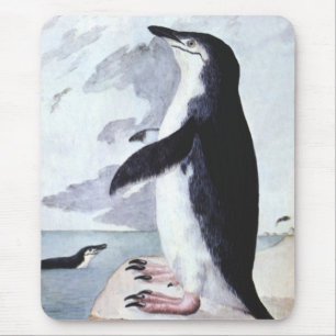 Vintage Chinstrap Penguin, Birds from Antarctica Mouse Mat