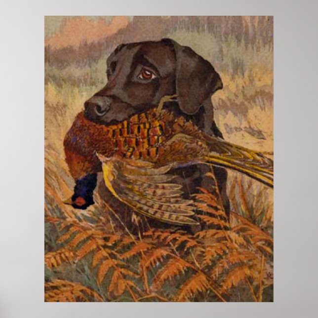Vintage Chocolate Lab Hunting Poster (Front)