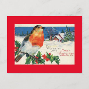 Vintage Christmas Bird Holiday Postcard