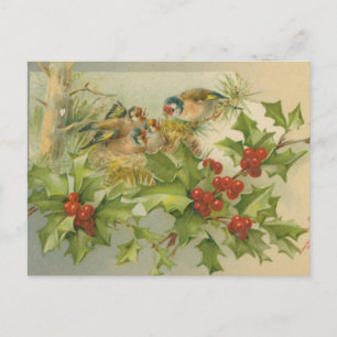 Vintage Christmas Birds Nest Holiday Postcard