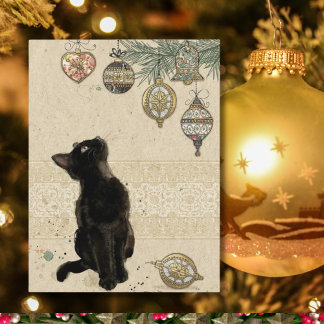 Vintage Christmas Black Cat Looking At Ornaments Holiday Postcard