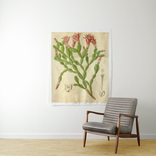 Vintage Christmas Cactus Tapestry (In Situ)
