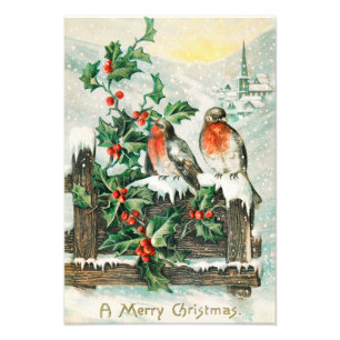 Vintage Christmas Card with Robins, Holly, Church Photo Print