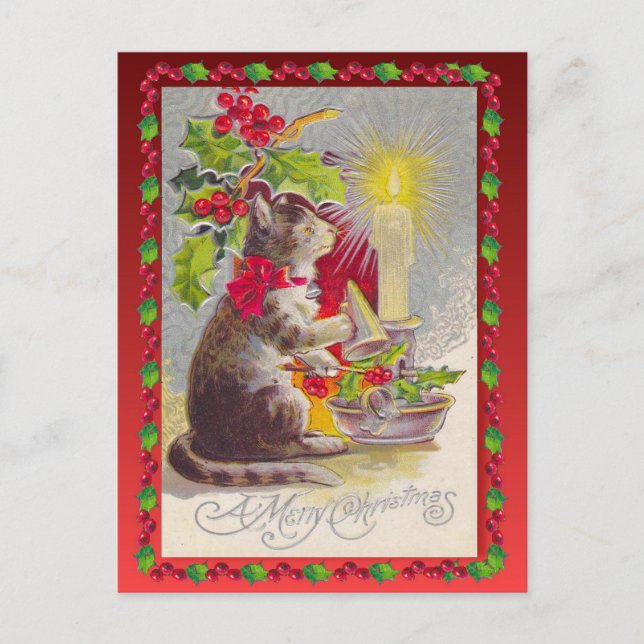 Vintage Christmas,  Christmas cat Holiday Postcard (Front)