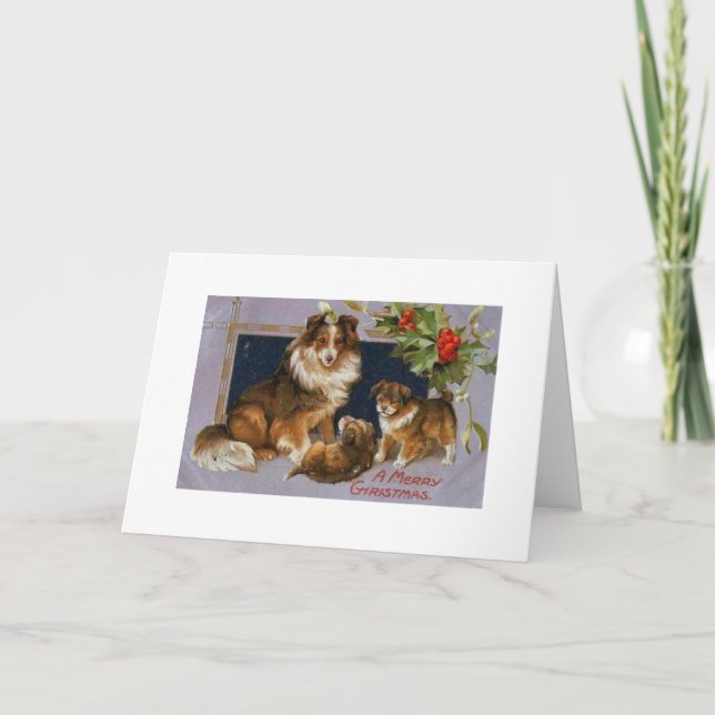 Vintage - Christmas Collie Dogs, Holiday Card (Front)