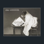 Vintage Christmas Dog Puppy Humour Postcard<br><div class="desc">This postcard features a very cute and funny vintage christmas dog or puppy photo. For more like this,  please visit our store.</div>