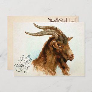 Vintage Christmas Goat Postcard