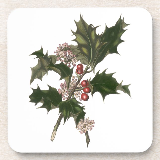 Vintage Christmas, Green Holly Plant with Berries Coaster (Front)