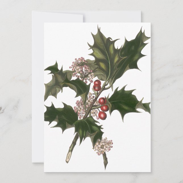 Vintage Christmas, Green Holly Plant with Berries Invitation (Front)