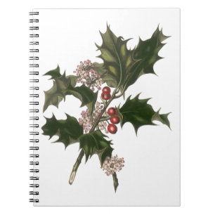 Vintage Christmas, Green Holly Plant with Berries Notebook