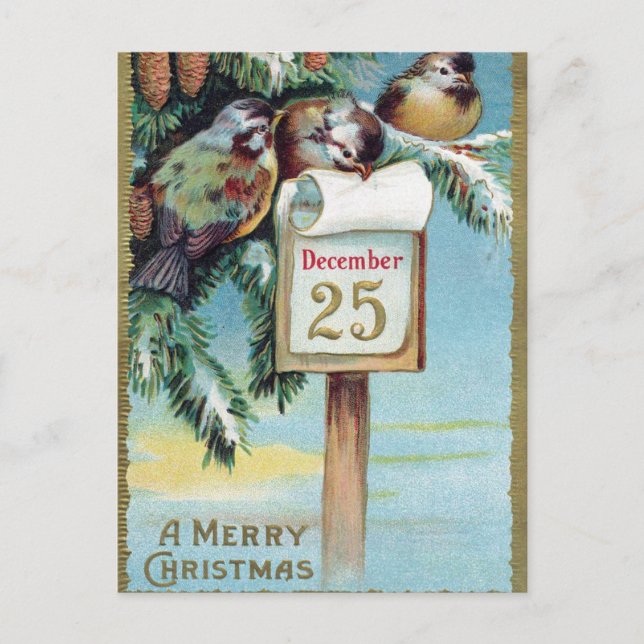Vintage Christmas Holiday birds postcard (Front)