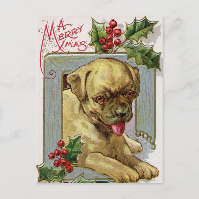 Vintage Christmas Holiday Holly dog postcard (Front)