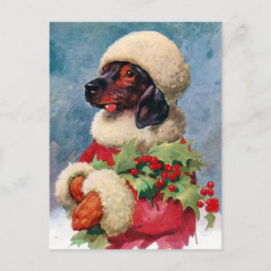 Vintage Christmas Holly Dachshund Postcard
