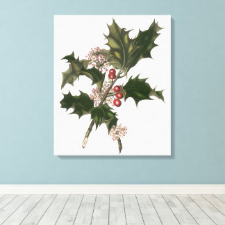 Vintage Christmas, Holly Plant with Red Berries Canvas Print