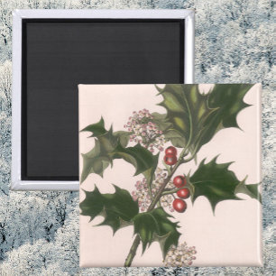 Vintage Christmas, Holly Plant with Red Berries Magnet